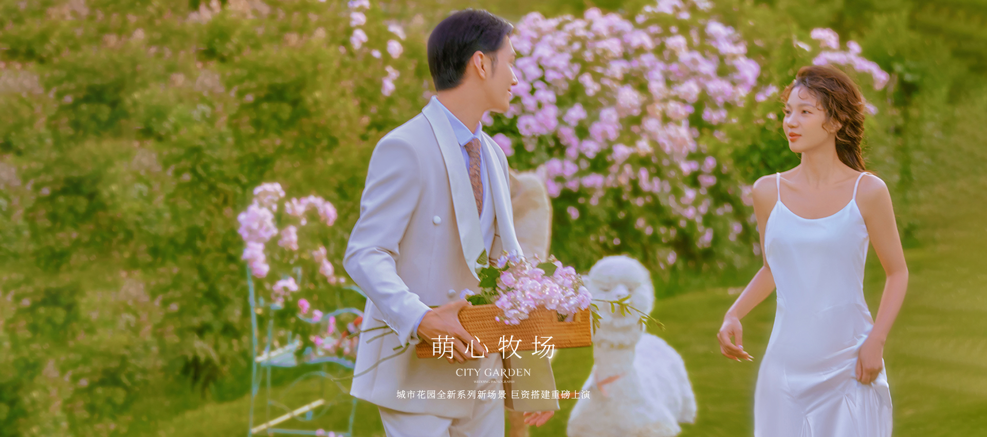 羊驼婚纱照